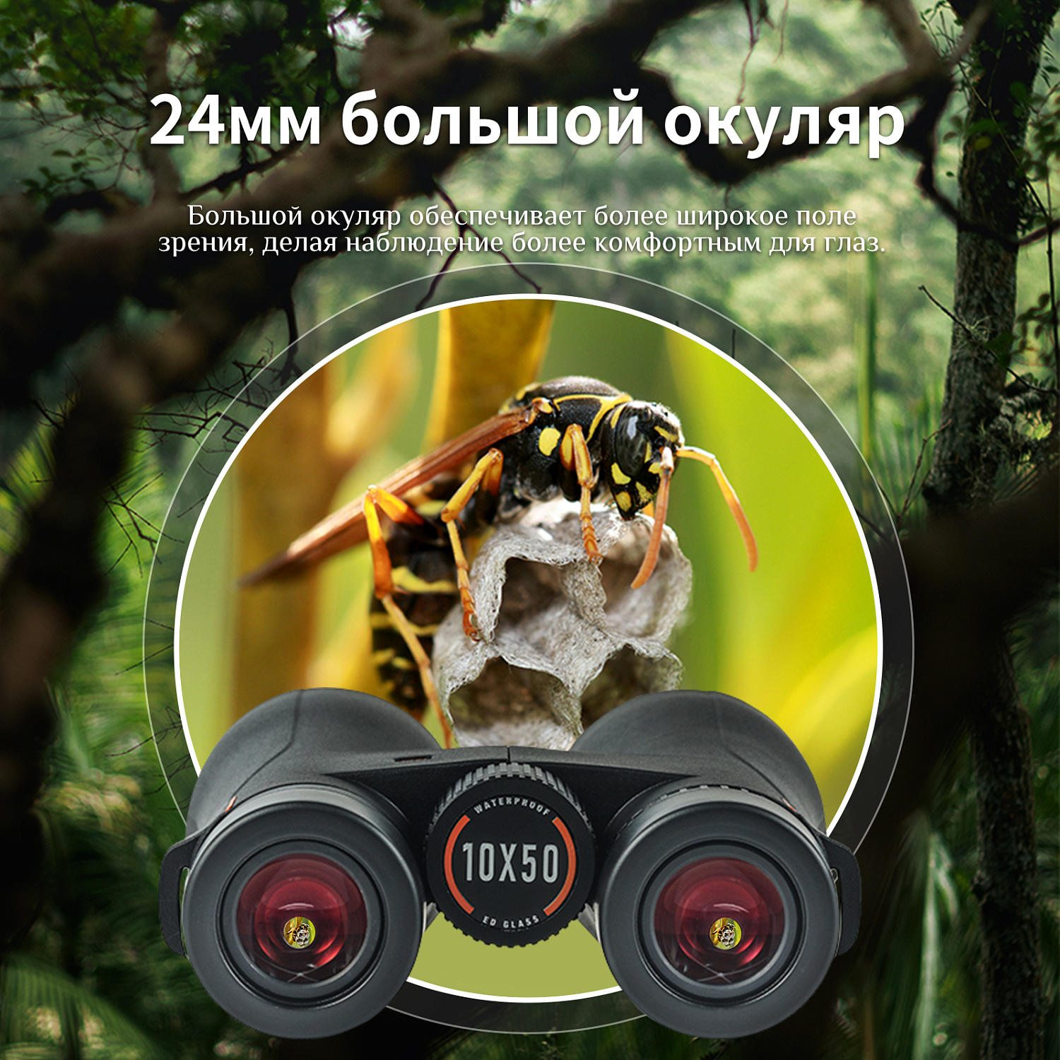 Бинокль Eyeskey Wave ED-10x42