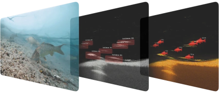 Deeper Smart Sonar CHIRP+ 4 DP7H13S10 от прозводителя Deeper